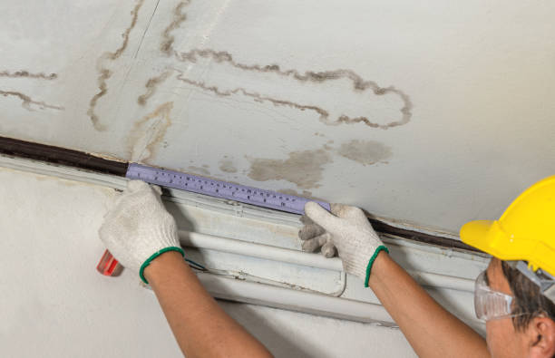 Reliable Mold Remediation contractor in Shelby, NC by Local Water Damage Repair